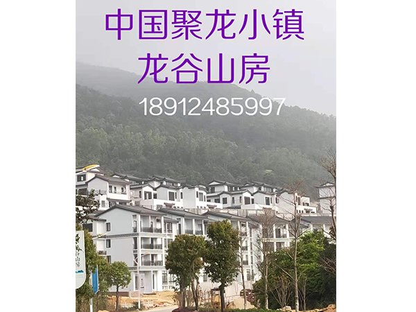 中國聚龍小鎮(zhèn)龍谷山房